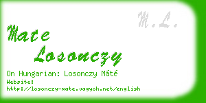 mate losonczy business card